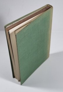 Dravá pernatá zver (slovensky)