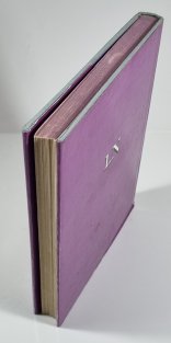 Dívka s měděnými vlasy