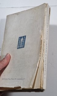 Hanička všudybylka