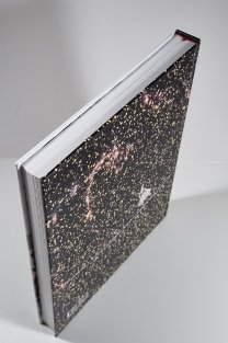 Hoffmeisterova ironická kronika doby