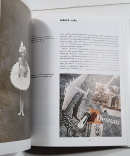 Bauhaus 1919-1933 - Reforma a avantgarda