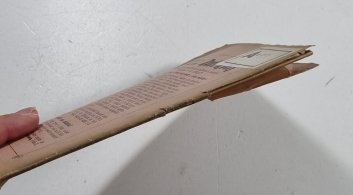 Rakouská politika celní