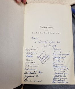 S léty jsme rostli