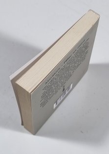 Maverick - Pěšec na odpis