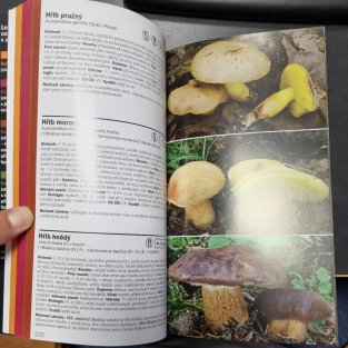 1000 českých a slovenských hub