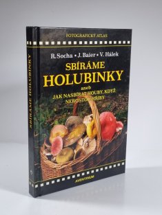 Sbíráme holubinky