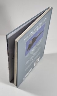 Moderní bojová letadla 1990-dodnes