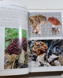 Velký fotoatlas hub z jižních Čech