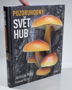 Pozoruhodný svět hub