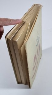 Hrádky a tvrze na Moravě