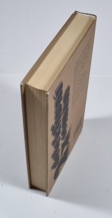 2x detektivní román - Případ mytických opic / Případ vražedné hračky