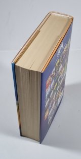 Kopí osudu - Sága rodu Courtneyů 13