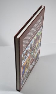 Ilustrované dějiny naší země pro děti i dospělé + komiks