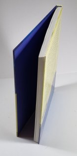 Hrady a tvrze západních Čech (V rekonstrukcích a retrokresbách)