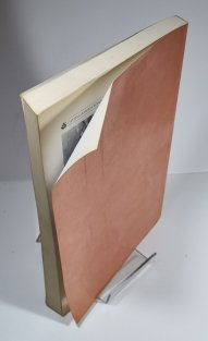 Castellogica bohemica 5