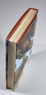 The Age if Dinosaurs in South America