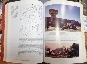 The Age if Dinosaurs in South America