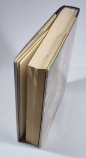 Predatory Dinosaurs of the World