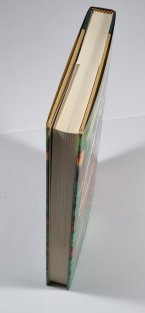 The Carnivorous Dinosaurs