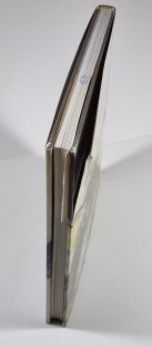 Feathered Dinosaurs - The Origin Birds