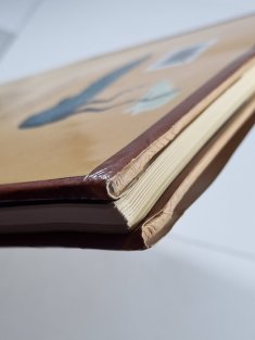 The New Dinosaurs - An Alternative Evolution 