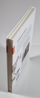 Dinosauři - Rekordy a zajímavosti