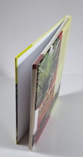 Rostliny pro vzdušné zahrady