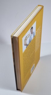 Dinosauři v Čechách