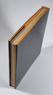 Bromeliaceae of Venezuela