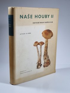 Naše houby II