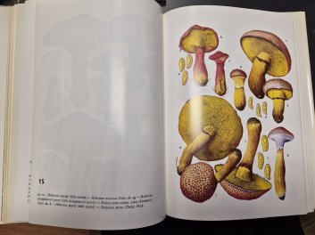 Poznávajme huby (slovensky)