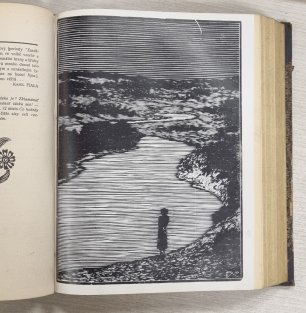 Moderní revue 1911 