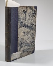 Denník I. (MUDr. Eduard Grégr) / Boj o Poznaň / Německo, Rusko a otázka Polská - 