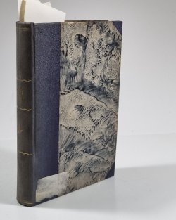 Denník I. (MUDr. Eduard Grégr) / Boj o Poznaň / Německo, Rusko a otázka Polská