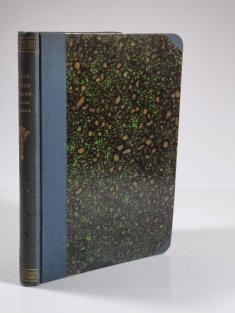 Počátky konstitučního života v Čechách