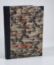 Vražda v hotelu Aldorf - 