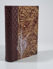 Vyzvědač Kent / Smrtonosné lože - 