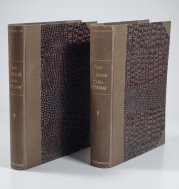 Tajemná dáma Aenigma I.+II. - 