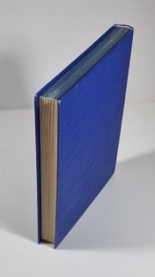 Sebrané spisy Jana Havlasy II. - Děti neklidu