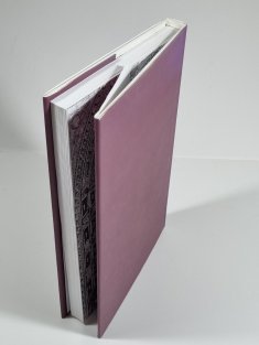 Gustav Mahler - současník budoucnosti