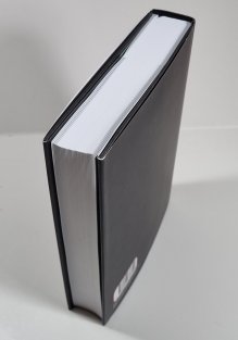 Politický řád a politický úpadek