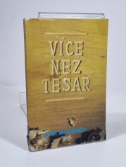 Více než tesař - 