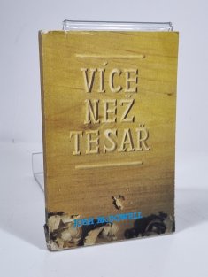 Více než tesař