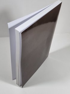 Politický okres klatovský (Soupis památek historických a uměleckých v Království českém od pravěku do počátku XIX. století)