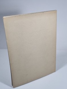 Hugo Boettinger - Grafické zjevy VI.