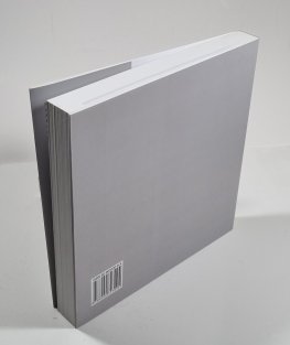 Zajatec kubismu - Dílo Emila Filly v zrcadle výtvarné kritiky (1907-1953)