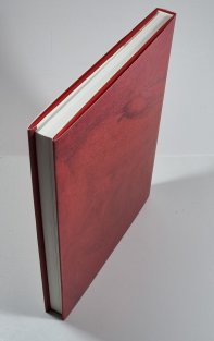 Agnes Maes - From Le Ballet Mécanique to Le Ballet des Cellules