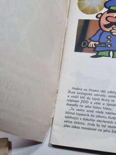 Ilustrované sešity 31 - Podivuhodné léto v zoo