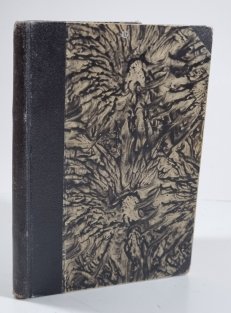 Společnost věčné punčochy