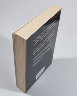 Vespasián 1 - Obránce Říma (brož)